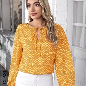 SHEIN-Like new. Long sleeve blouse.